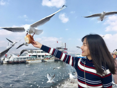 一根藤上七朵花！MBA和他的六個小兄弟