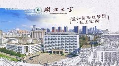 2021年湖北大學MBA調劑開網時間