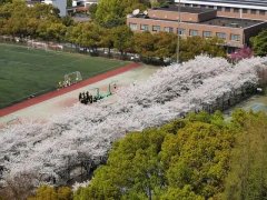 同濟(jì)大學(xué)2022年MBA復(fù)試時間