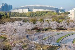 2022年MBA項目復(fù)試網(wǎng)申流程 上海對外經(jīng)貿(mào)大學(xué)